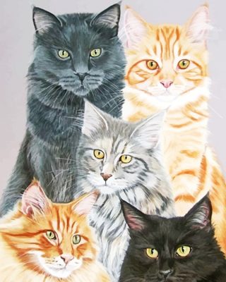 Cute Cats Paint By Numbers