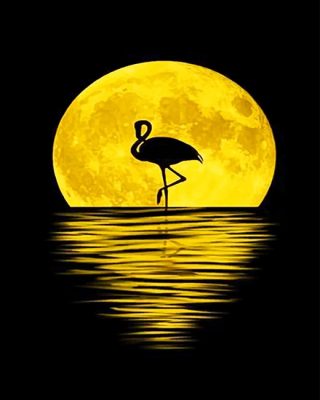 Flamingo Moon Paint By Numbers