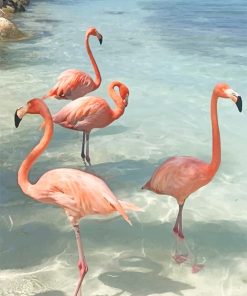 Flamingos Birds Paint By Numbers