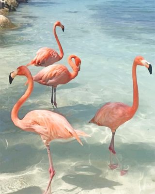 Flamingos Birds Paint By Numbers