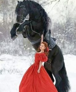 Girl With Black Horse Paint By Numbers