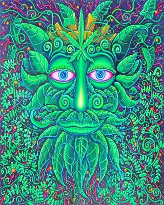 Green Man Paint By Numbers