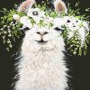 Lama With Flowers Paint By Numbers