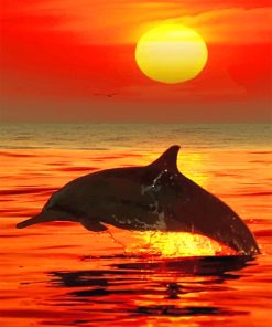 Dolphin Sunset Paint By Numbers