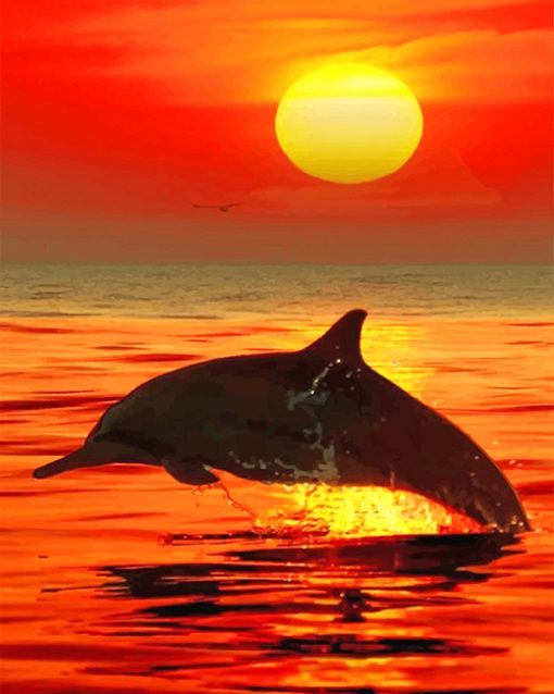 Dolphin Sunset Paint By Numbers