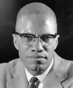 Malcolm X Portrait Paint By Numbers
