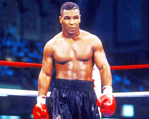 Mike Tyson Boxer Paint By Numbers
