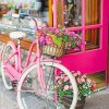 Pink Bike With Flowers Paint By Numbers