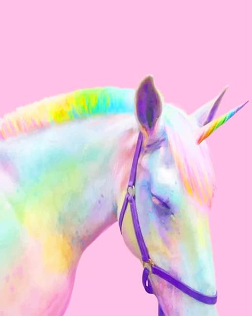 Rainbow Horse Paint By Numbers