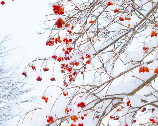 Red Flowers Snow Paint By Numbers