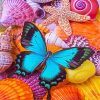 Seashells And Butterfly Paint By Numbers