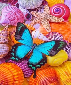 Seashells And Butterfly Paint By Numbers