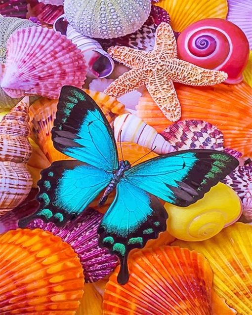 Seashells And Butterfly Paint By Numbers