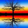 Tree Reflection Paint By Numbers