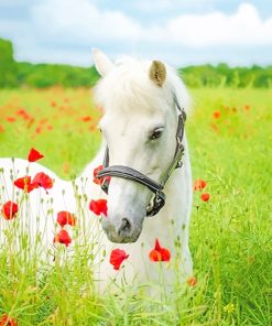 White Horse Flowers Paint By Numbers