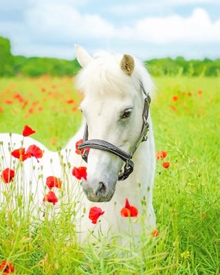 White Horse Flowers Paint By Numbers