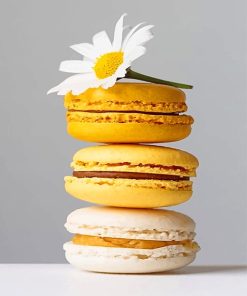 Yellow Macarons Paint By Numbers