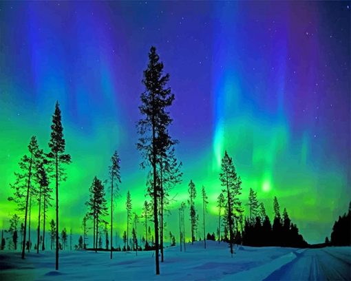 Arctic Aurora Paint By Numbers