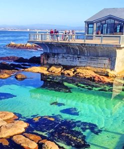 Bay Aquarium Monterey Paint By Numbers