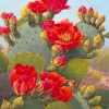 Cactus Red Flowers Paint By Numbers