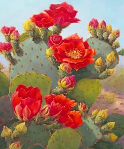 Cactus Red Flowers Paint By Numbers