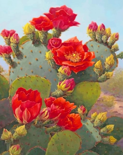 Cactus Red Flowers Paint By Numbers