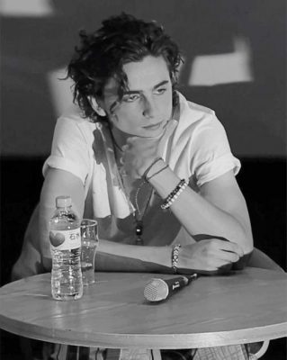 Monochrome Timothee Chalamet Paint By Numbers