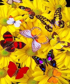 Butterflies Flowers Paint By Numbers