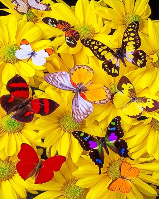 Butterflies Flowers Paint By Numbers
