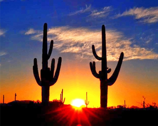 Cactus Sunrise Paint By Numbers