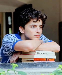 Classy Chalamet Paint By Numbers