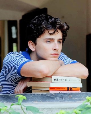 Classy Chalamet Paint By Numbers