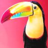 Colorful Toucans Paint By Numbers