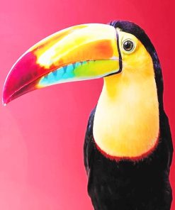 Colorful Toucans Paint By Numbers