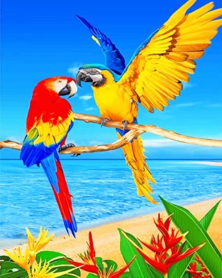 Colorful Parrots Birds Paint By Numbers