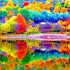Colorful Trees Autumn Paint By Numbers