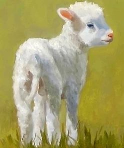 Cute Lamb Paint By Numbers