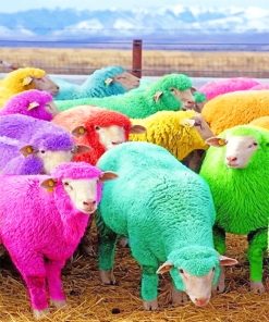 Colorful Sheeps Paint By Numbers