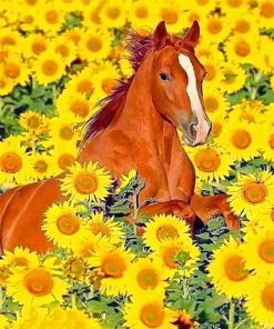Horse Sunflowers Paint By Numbers