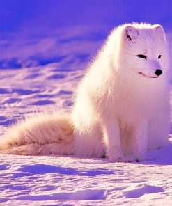Arctic Fox Paint By Numbers