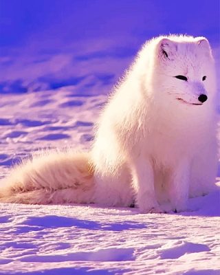 Arctic Fox Paint By Numbers