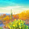 Saguaro Park Paint By Numbers