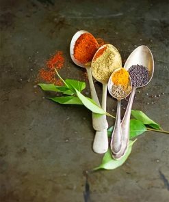 Spices Spoon Paint By Numbers