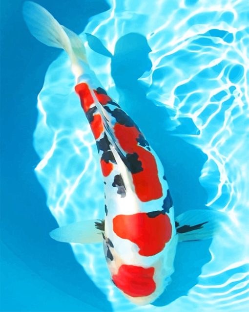 Red Koi Fish Paint By Numbers