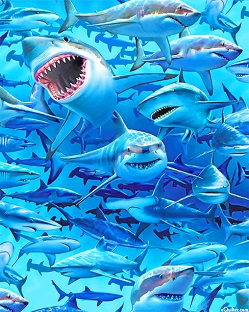 Sharks Frenzy Paint By Numbers
