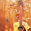 Autumn Guitar paint by numbers