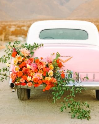 Floral Car paint by numbers