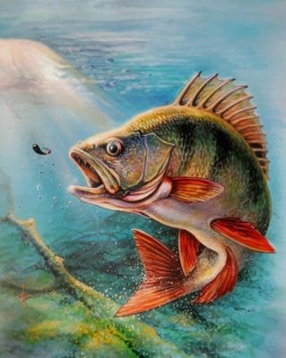 Largemouth Bass Fish Paint by numbers