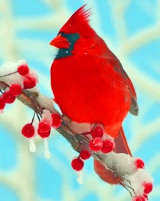 Red Cardinal paint by numbers