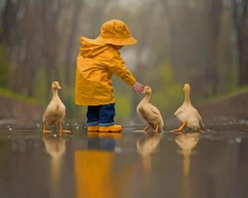 Boy Playing With Ducks Paint By Numbers